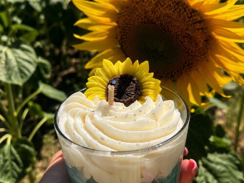 BOUGIE GOURMANDE GIRASOLE